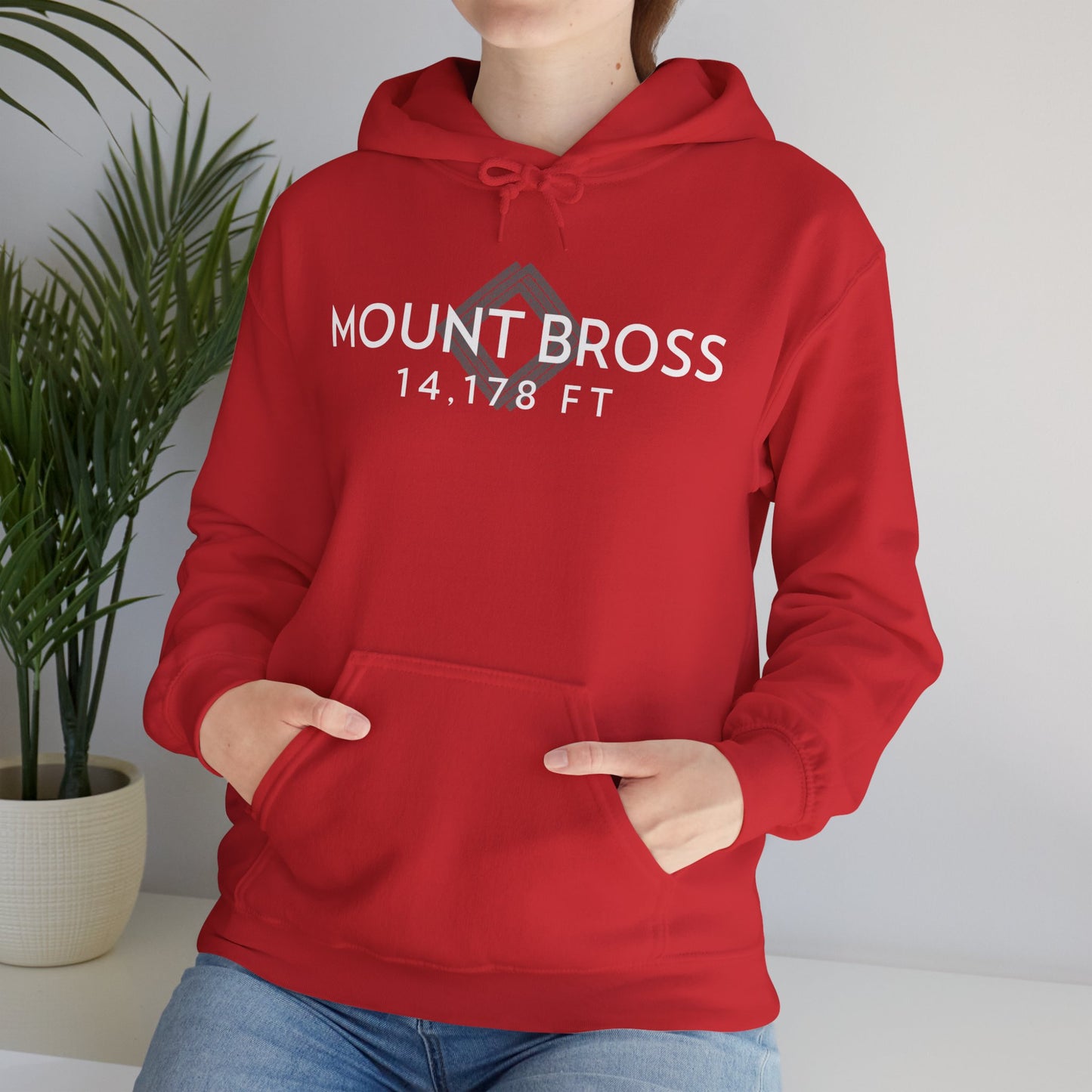 Women's Mount Bross 14,178 ft Summit Hoodie (Unisex Sizing) - 14ER SUMMIT SERIES - Souvenir Pullover by Lucky Outfitters