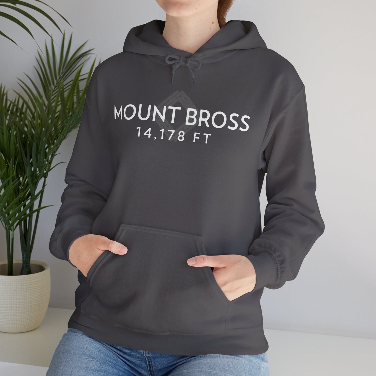 Women's Mount Bross 14,178 ft Summit Hoodie (Unisex Sizing) - 14ER SUMMIT SERIES - Souvenir Pullover by Lucky Outfitters