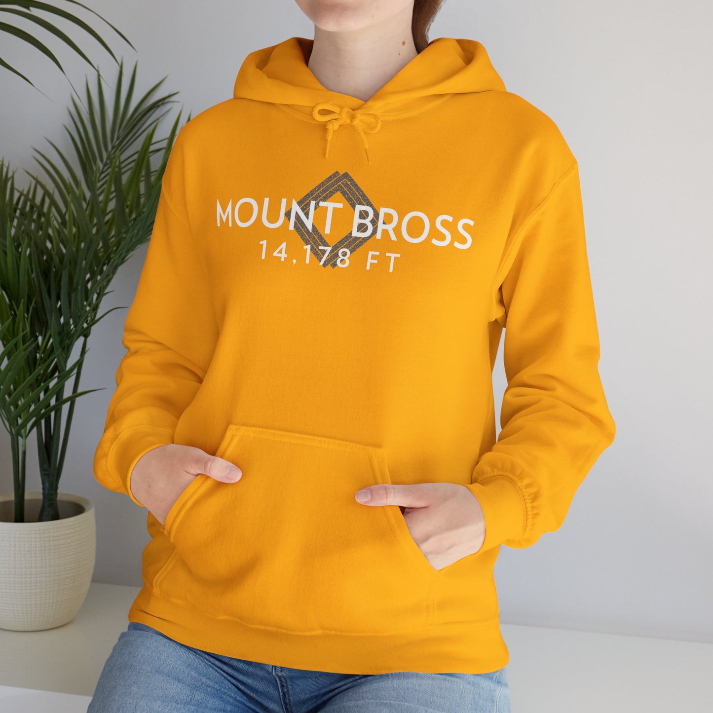 Women's Mount Bross 14,178 ft Summit Hoodie (Unisex Sizing) - 14ER SUMMIT SERIES - Souvenir Pullover by Lucky Outfitters
