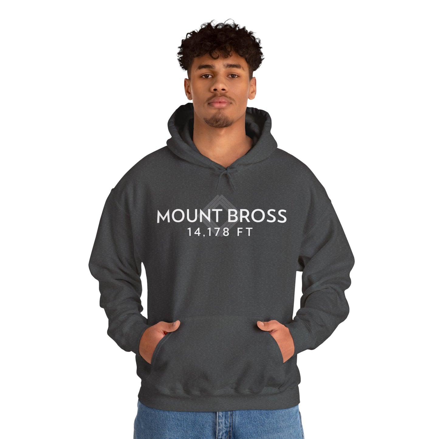 Men's Mount Bross 14,178 ft Summit Hoodie - 14ER SUMMIT SERIES - Souvenir Pullover by Lucky Outfitters